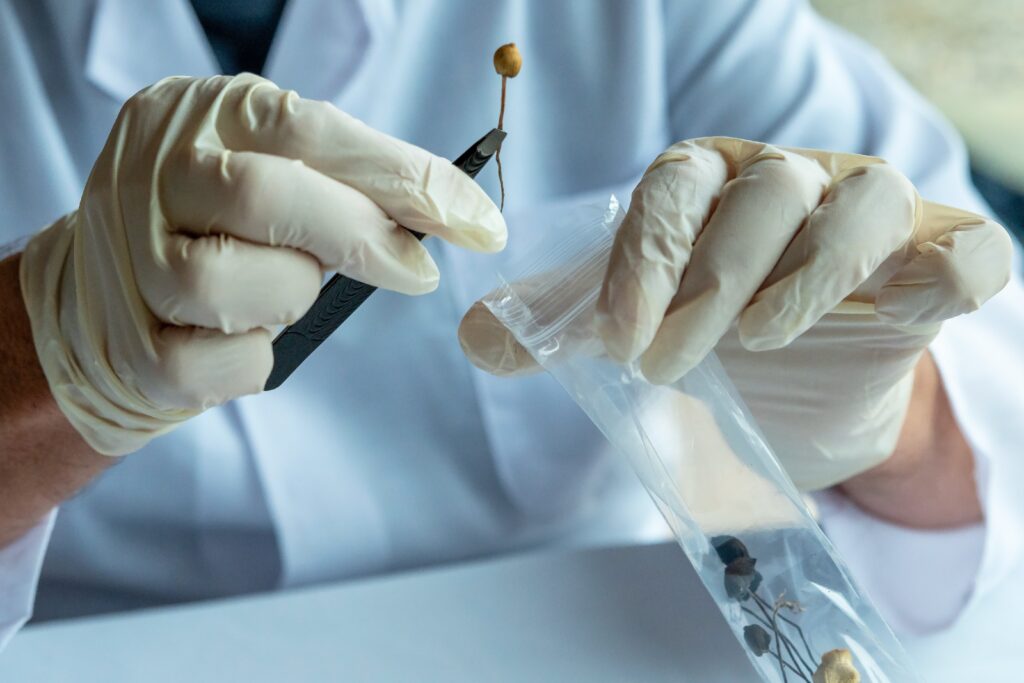 Psychedelic Treatments Show Promise for OCD, While Cannabis Falls Short, Review Finds