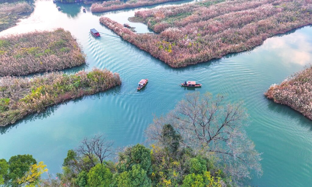 China Launches First Ecological Law