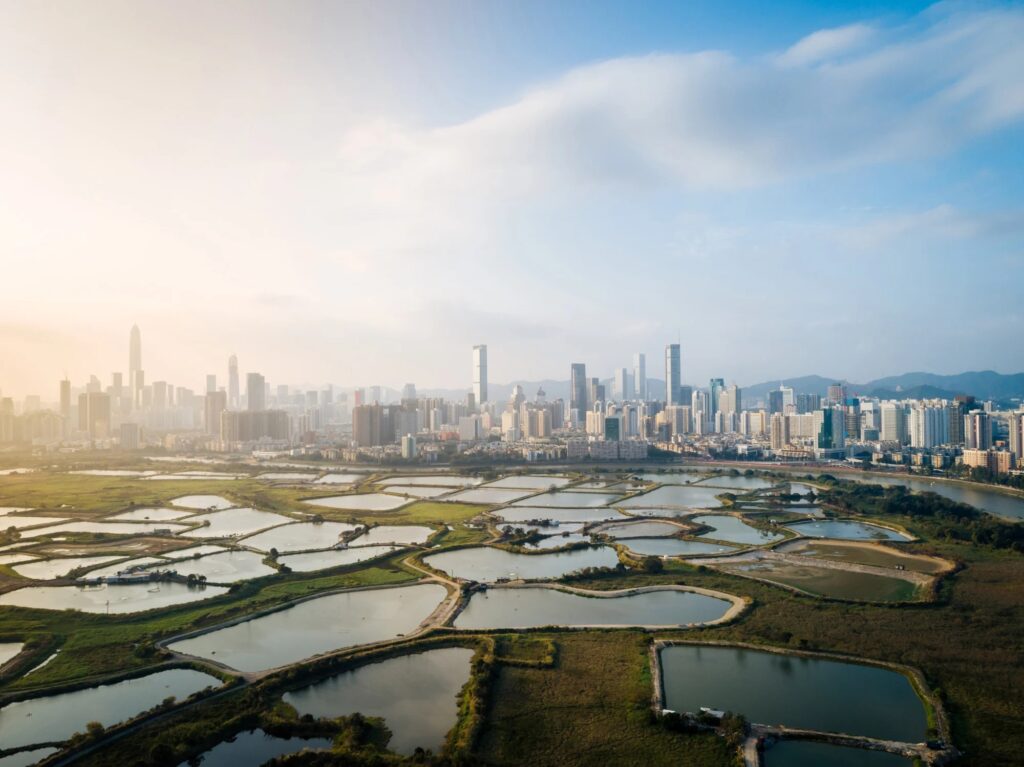 Hong Kong Financial Growth Shows Strong Stability