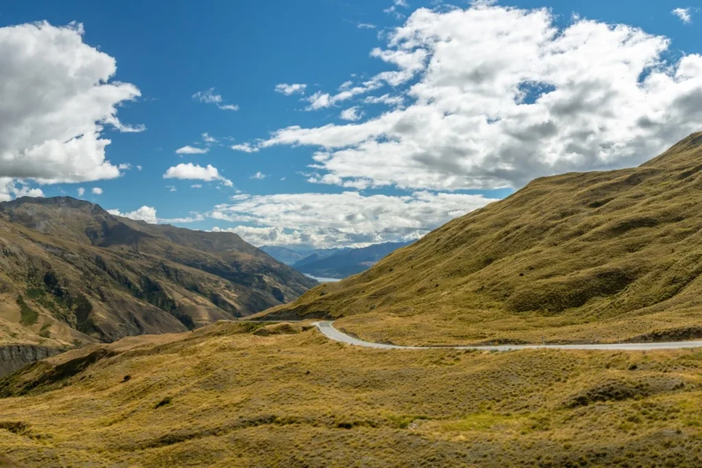 Hongkonger Dies In New Zealand Road Crash